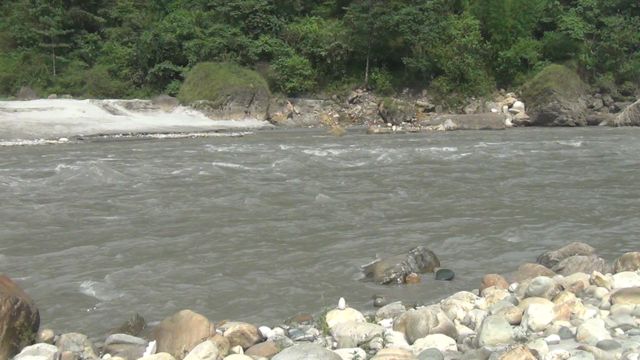 झोलुङ्गे पुलबाट खसेका युवा जीवितै उद्धार
