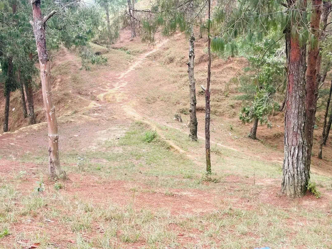 लामाडोल देबिथुम्का सामुदायिक वनको साधारण सभा सम्पन्न अध्यक्षमा: महेश बन्जारा